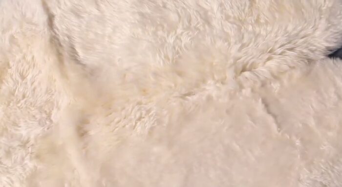 Modern Cowhide Area Rug 3004 (White Sheepskin) - Image 5