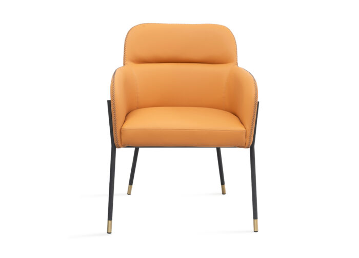 Elsa Camel & Black Modern Arm Dining Room Chairs - Set of 2